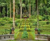 eka karya botanical garden in bedugul bali.jpg from indonesia garden x
