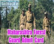 maharashtra forest guard admit card 2023.jpg from in the forest