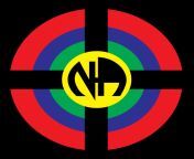 na group logo naws 2008.png from na na
