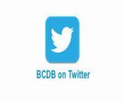 bcdb twitter callout.jpg from 六盘水品茶场子（tg电报@bcdb pay bot）频道（toupaishenqi12） cyb