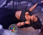 bubbly actress asha saini hot 1490187420 large.jpg from super boobs sexy saree