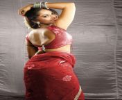 anushka shetty vaanam movie back in saree film actress 28129.jpg from anushka shetty tamil movies hot