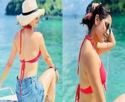 ashika ranganath red bikini top shorts.jpg from actress ashika hot sex kajal sex phoes videos dowld com