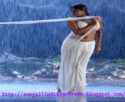 priyamani saree strip at telugu hot song latest bikini blouse.jpg from wet transparent saree sex