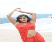 anchor rashmi gautam hot navel show stills 5.jpg from anchor reshmi hot photos in saree on diwali