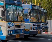 transport system 3130240.jpg from asian bus