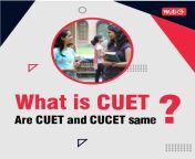 what is cuet small.jpg from cuet and s