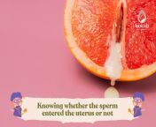 knowing whether the sperm entered the uterus or not.jpg from big sperm in vagina man fuck