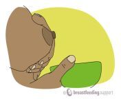 hand expressing breast milk 1cw.jpg from breastfeeding hand expression