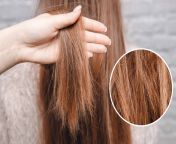 how to treat damaged hair scaled.jpg from haih