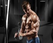 pose fitness muscle muscle athlete hd wallpaper preview.jpg from fitness muscle by e19700 jpg