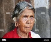 paniyan tribe tribal old woman portrait at chulliyod village kottayil kerala india 2cf8ntf.jpg from old malayali woman