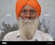 old indian sikh man with orange turban dastar and long grey beard poses for a headshot 2caypdn.jpg from punjabi old