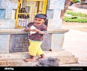 puducherry india december circa 2018 unidentified shy young indian dalit boy alone in the street of village drinking baby bottle with sad and sh 2aeag2d.jpg from desi cute village shy