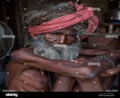 indian old man in pushkar india portrait 2bbt9m3.jpg from man hast maithun village women pissing