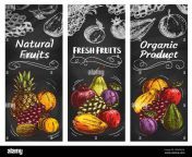 fruits sketch banners tropical farm market food pineapple orange and apple on chalkboard summer exotic fruits mango peach and lemon apricot and g 2emdk2n.jpg from peach ams cher