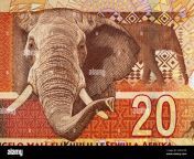 african elephant on south africa 20 rand banknote close up macro south african money closeup 2de2hpr.jpg from african 20