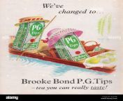 brooke bond tea pg tips tea bags vintage paper advertisement pg tea bags paper advert tea you can really taste 1960s 1970s 2ja525b.jpg from old pg
