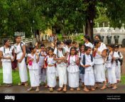 group of school children girls and boys in white school clothes dambulla sri lanka 2w57xmc.jpg from srilanka school jang