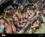 a group of suli muli women from enga with round human hair headdresses mount hagen cultural show papua new guinea mbwx2g.jpg from png mt hagen koap