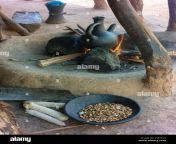 coffee being brewed traditionally in an aari village near jinka with beans in the foreground p58ynn.jpg from pope hotn village ki khat