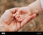 fathers hand lead his child daughter in summer outdoorfamily concept prd06y.jpg from real father finger daughter