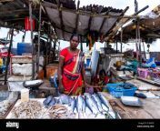 chennai india august 18 2018 a standing tamil woman sell seafood in her stall at the chennai street fish market r1gkdd.jpg from tamil aunty fisb