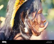 portrait of a suya indian with lip plate brazil south america aetk65.jpg from indian college suya inbam seiyum videoa
