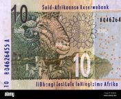 south african 20 rand note with the sketch of a ramsheep anw0n3.jpg from african 20