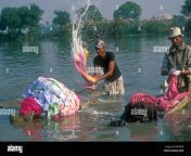 indian dhobi wallah in action washing clothes in the river at lucknow apgnfw.jpg from india washing clothes in river saree blouse x