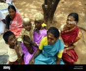 women and children in madurai tamil nadu india asia bg48dx.jpg from tamil nadia madurai mom and son s