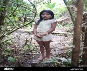 a young tribal girl deep in the amazon jungle shuar tribe c60cy2.jpg from www xxx panda Ø³ÙƒØ³ Ù†ÙŠÙƒ Ø¨Ù†Ø§Øª Ø³ÙˆØ¯Ø§Ù†ÙŠ Ø¬Ø¯ÙŠØ¯amazon jungle sex 3gp xxx bangla com bdideo desi bangla wife 3gpkingbest com bil
