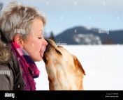 woman having face licked by golden retriever thuringia germany europe cxrggr.jpg from licked
