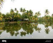 kerala backwaters palm trees reflection backwaters kerala india asia et0b8k.jpg from www bangla xexe kerala indian fat aunty xxx sex porn with small boydnap and rape videos 3gp father daughter download 2015 new bangladeshi school 10th hindi 9th class xx married first night fucking