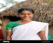 rural girl near vadalur tamil nadu india no mr f3g0m2.jpg from tamil village 16 age 25 age teacher jungle sex jungle mein mangal