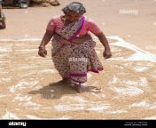 elderly woman spreading drying rice on the ground with her feetkeralaindia hbdrbr.jpg from kerala house wife aunty feet worship 3gp