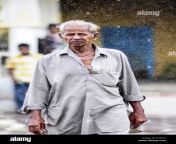 udaipur india september 13 2010 indian old man walking in rain on j7h4x7.jpg from desi old man st