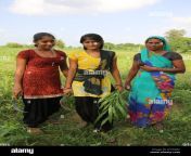 village women near goverdan uttar pradesh india jh1mm2.jpg from pound womanan village