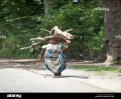 mujer tribal que transportaban lena y al bebe sobre su espalda munda tribu bartoli village en el distrito de ranchi en jharkhand india dxcrp1.jpg from 10 साल लडकी चोद¤