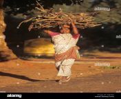 mujer que llevaba recogido sobre su cabeza de madera odisha orissa india k0j3n6.jpg from 10 साल लडकी चोद¤