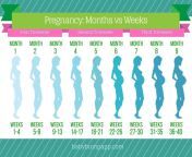 progression chart baby things pregnancy facts pregnancy months regarding pregnancy calendar month by month with image.jpg from month pregnant xxx
