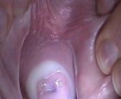 58 m.jpg from cum in pussy ins