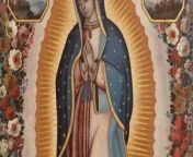 virgin of guadalupe oil canvas collection antonio 1720 jpgw300h169ccrop from virgin of guadalupe