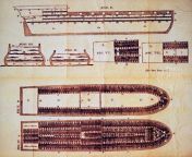 plans ship slaves engraving 1790.jpg from slave serving feet