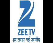 613869 zee tv logo.jpg from zee tv pridhee shmar
