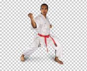 imgbin karate gi world karate federation martial arts karate kata karate l0sw2asu7exdsd6nwxqyqhpas.jpg from mixed karatè