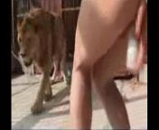 ee6a6c98add9bb531c77386ace377f7b 8.jpg from lion xxx lion and 3gp sex video tiger sex sex rape sex 3gp