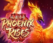 pgs phoenixrises.jpg from demo slot phoenix rises【gb777 bet】 bzvh