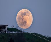 920062 une super lune rose va illuminer le ciel ce jeudi soir pour la pleine lune.jpg from sune lune xxx videosৌসুমী xxx 12