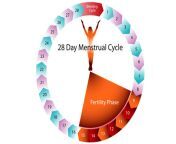 period cycle jpgv1581596861 from mens period